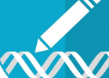 耶鲁大学PNA技术是基因编辑工具包的重要组成部分