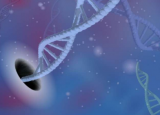 乐高技术揭示了通过纳米孔传输DNA的物理原理