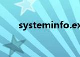 systeminfo.exe（system exit(0)）