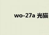 wo-27a 光猫（wo 27s光猫参数）
