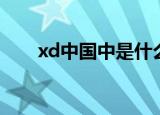 xd中国中是什么意思啊（xd中国中）