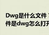 Dwg是什么文件？文件打开的方法是什么(文件是dwg怎么打开)