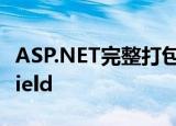 ASP.NET完整打包卸载更新攻略By Installshield
