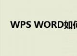 WPS WORD如何插入四分之三“¾”？