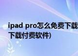 ipad pro怎么免费下载付费游戏及应用(ipadpro如何免费下载付费软件)