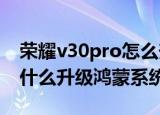 荣耀v30pro怎么升级鸿蒙系统(荣耀v30pro什么升级鸿蒙系统)