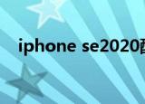 iphone se2020配置（iphone se 配置）