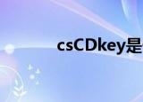 csCDkey是什么（cs cd key）