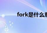 fork是什么意思（fucK是什么）